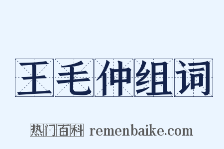 王毛仲组词是什么意思的图片